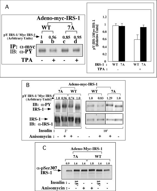 FIG. 5.