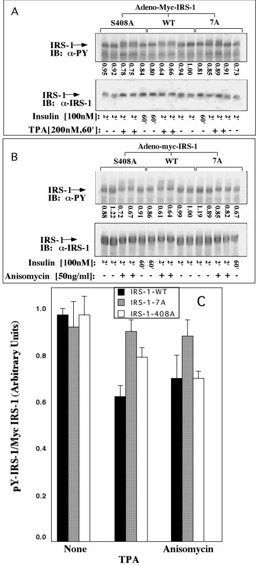 FIG. 11.