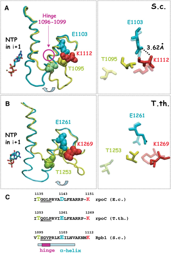 Figure 6.