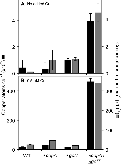 FIGURE 4.