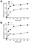 Fig. 10