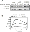 Fig. 13