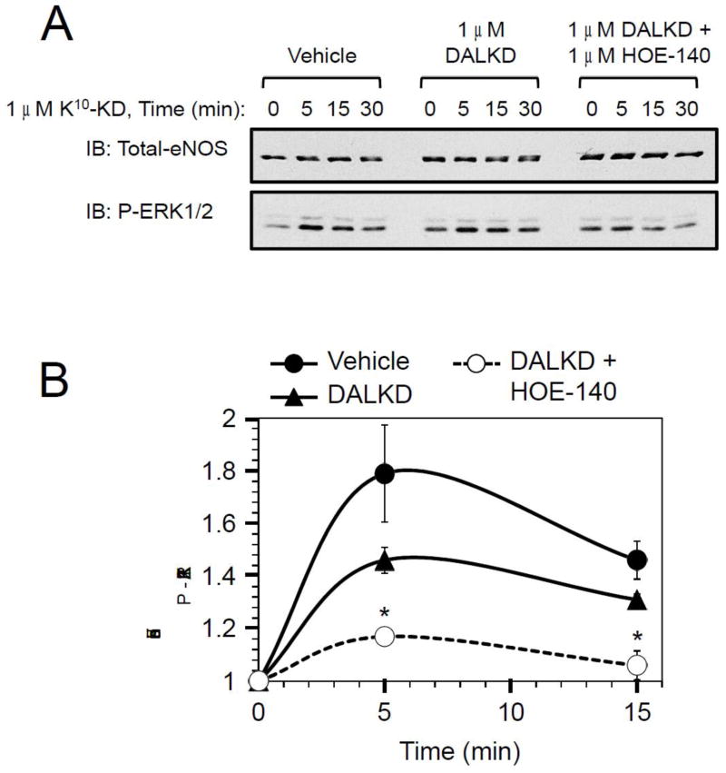 Fig. 13