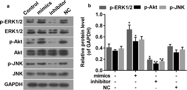 Fig. 6