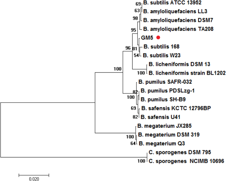 Fig. 2