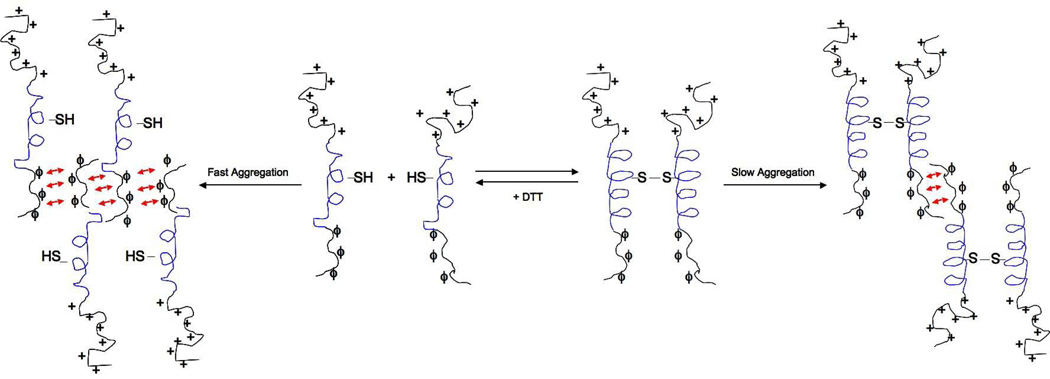 Fig 10