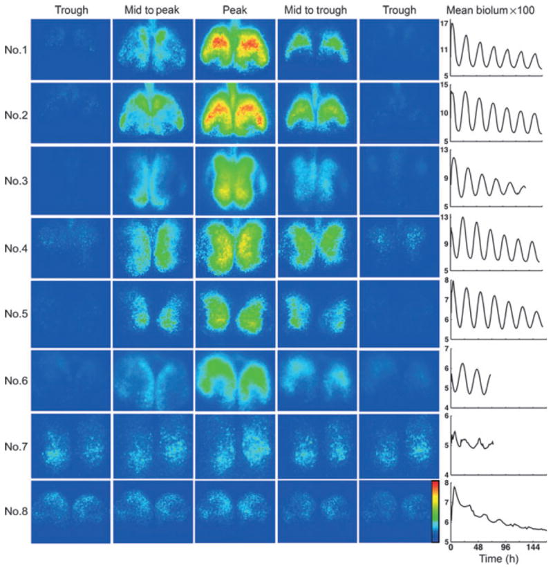 Fig. 4