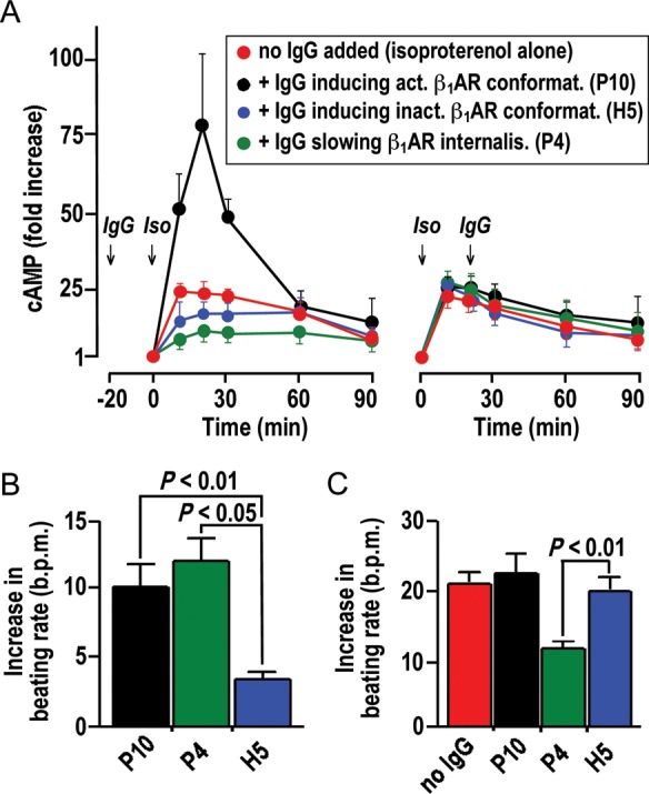 Figure 6