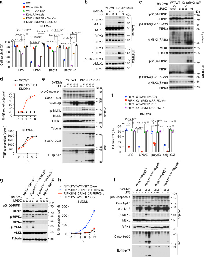 Ubiquitination of RIPK1 regulates its activation mediated by TNFR1 and ...