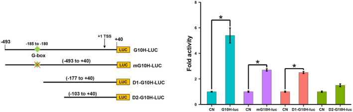 FIGURE 5