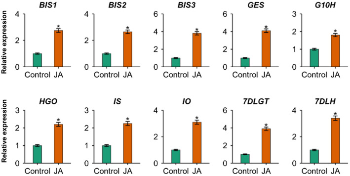 FIGURE 3