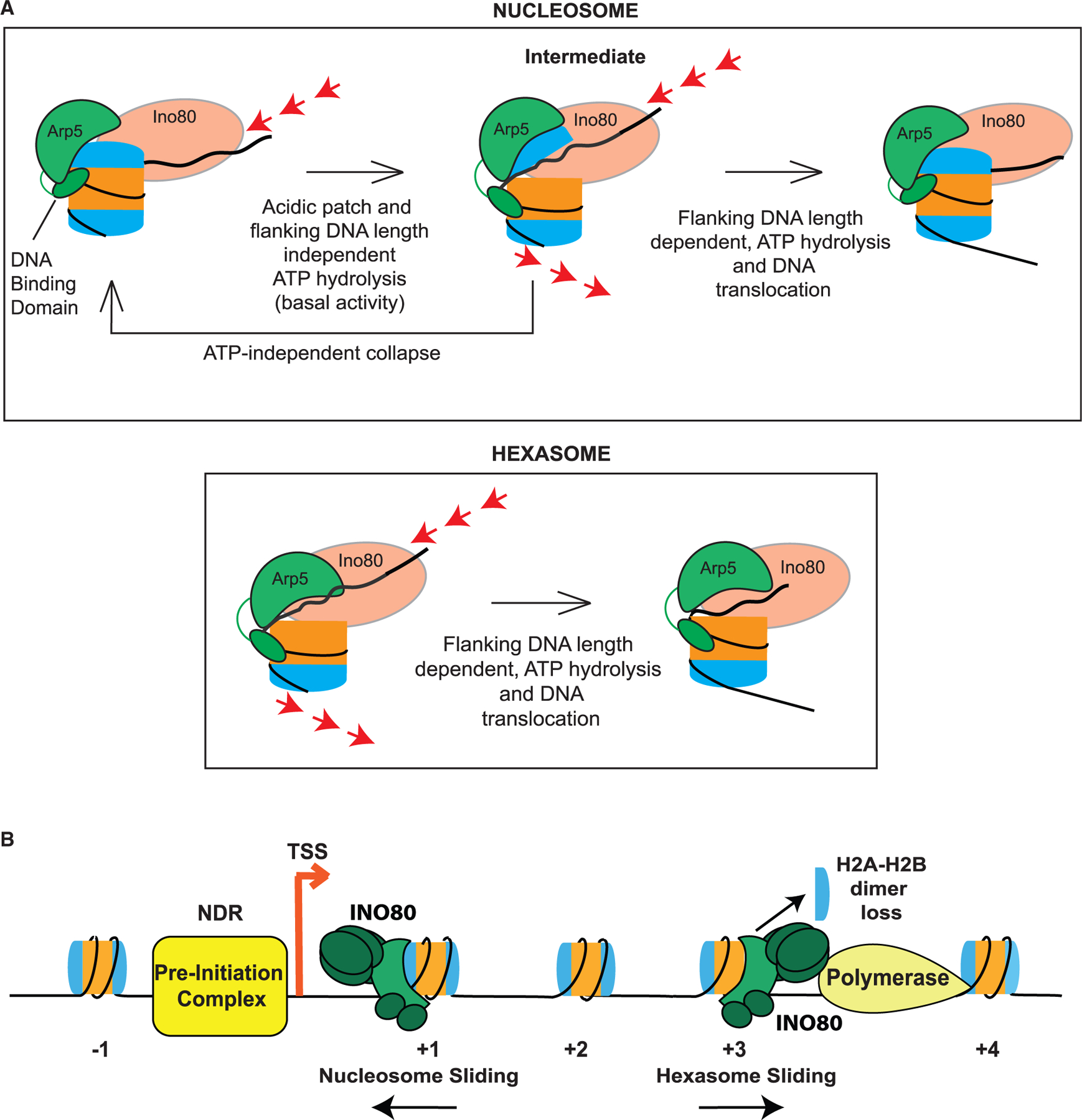 Figure 6.