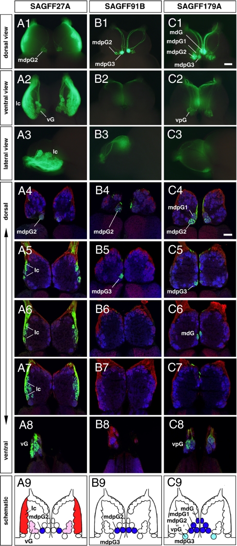 Fig. 2.