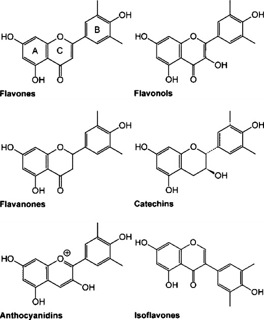 Fig. 1