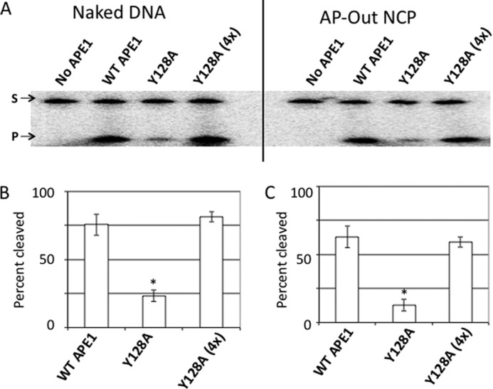 FIGURE 4.