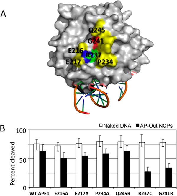 FIGURE 6.