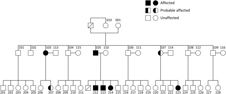 Fig. 1.