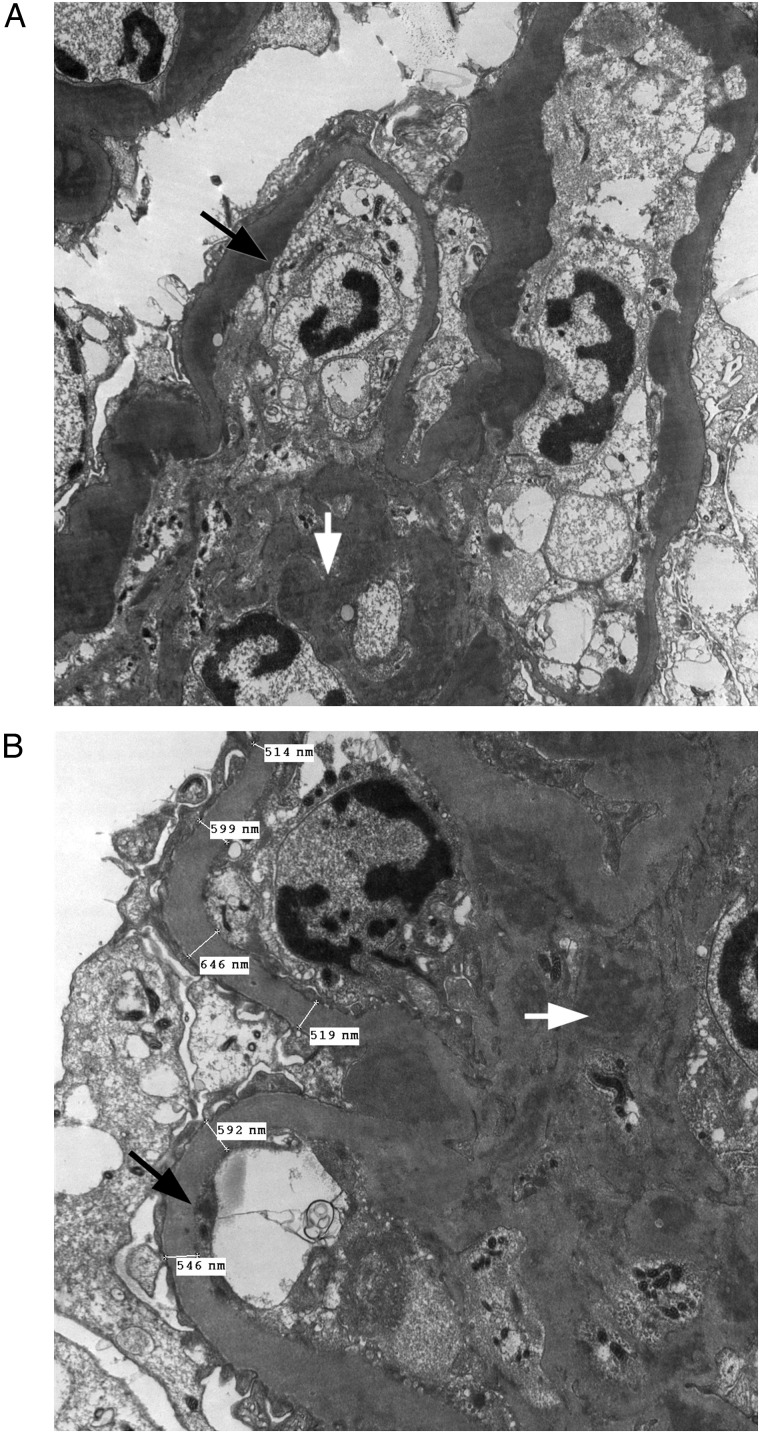 Fig. 2.