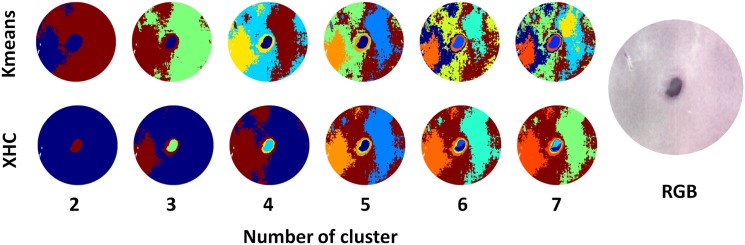 Fig 2