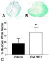 Fig. 10.