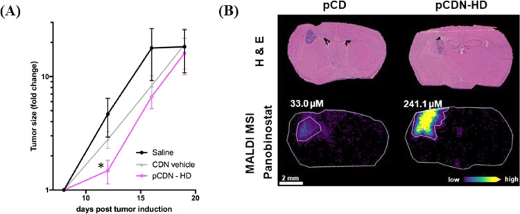 Figure 11