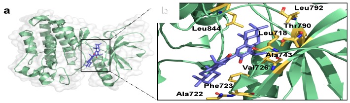 Figure 4