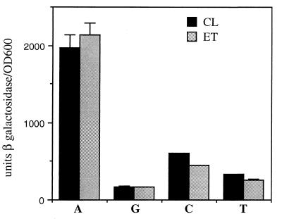 FIG. 6