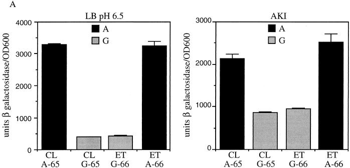 FIG. 7