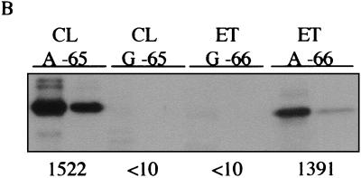 FIG. 7