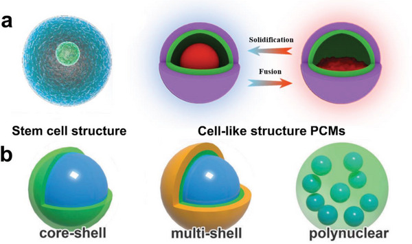 Advanced Phase Change Materials From Natural Perspectives: Structural 