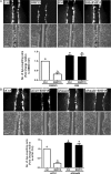 Figure 5