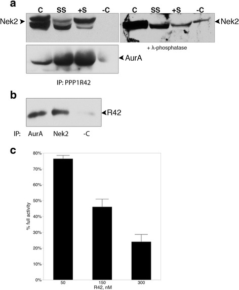 Fig. 8