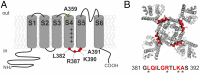 Fig. 1.