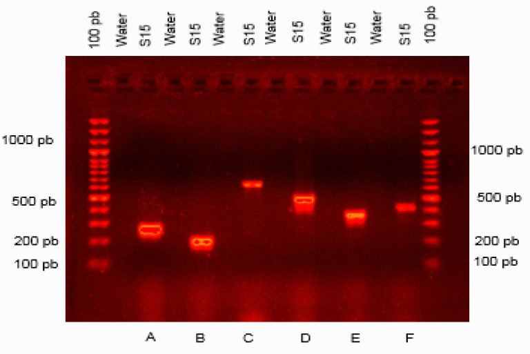 Figure 9