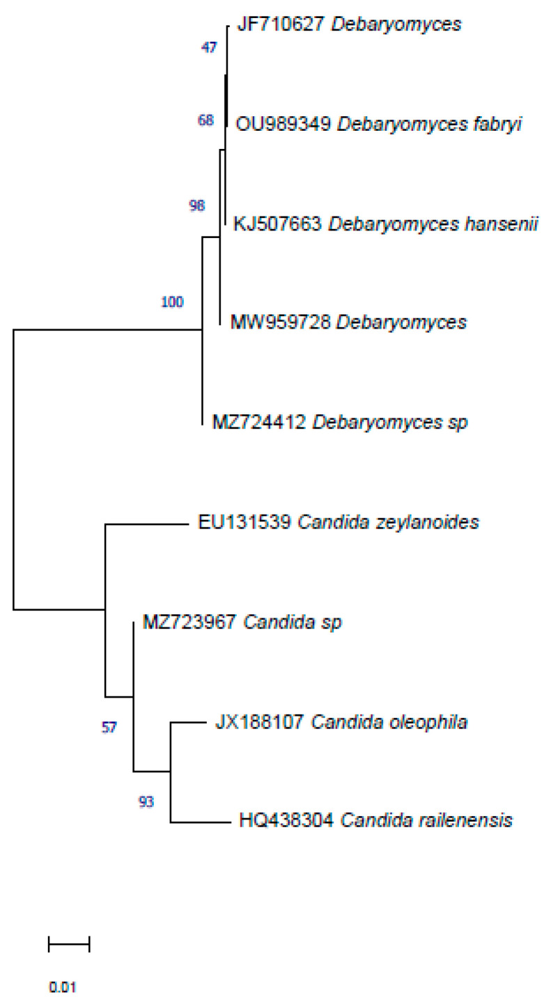 Figure 6