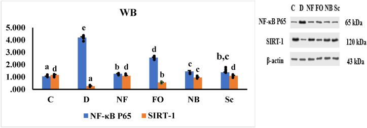 Fig. 11