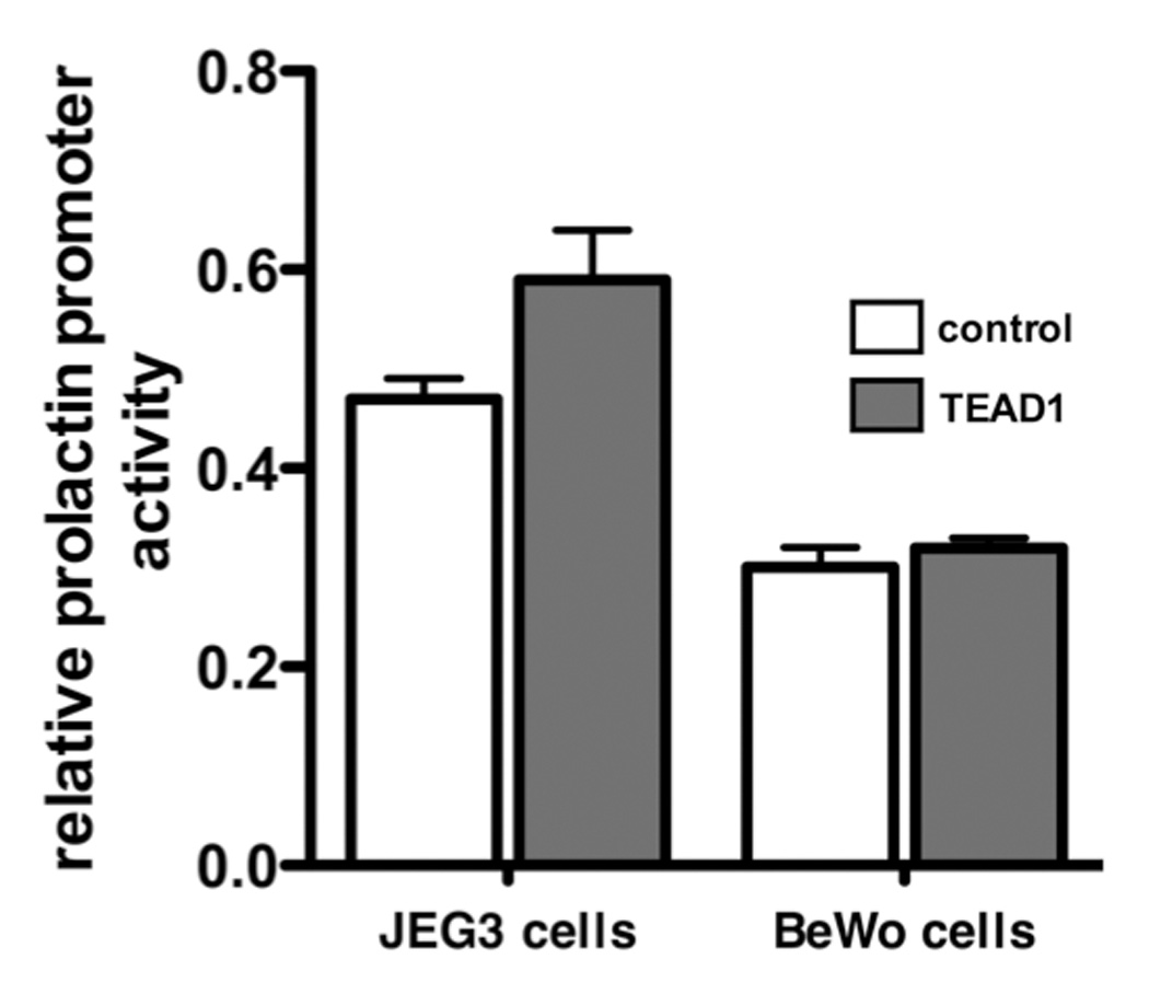 Figure 7