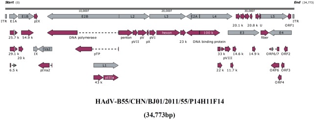 FIGURE 1