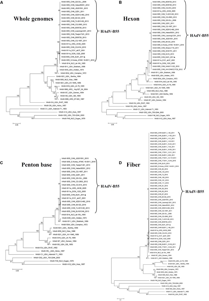 FIGURE 3