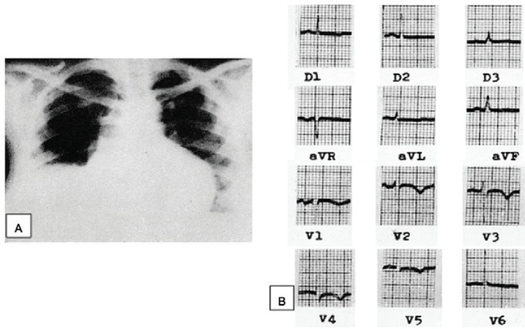 Fig. 4: