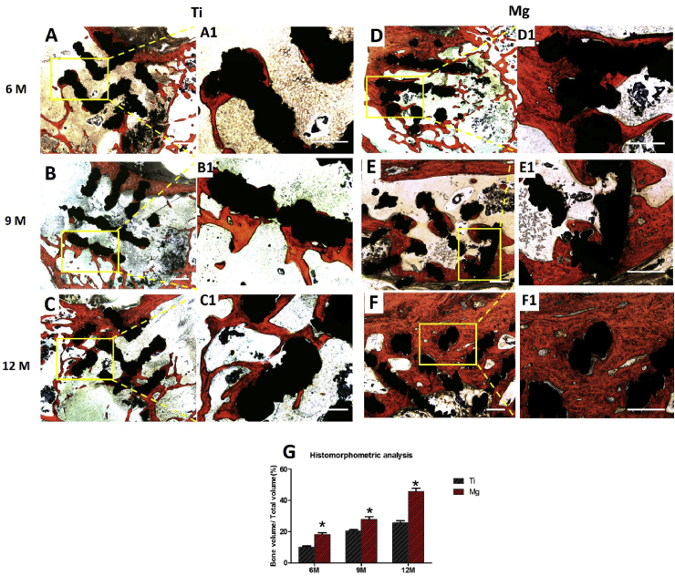 Fig. 13