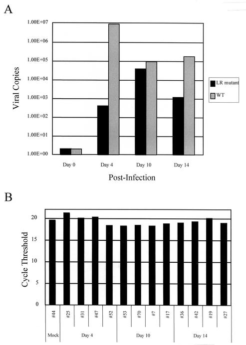 FIG. 6.