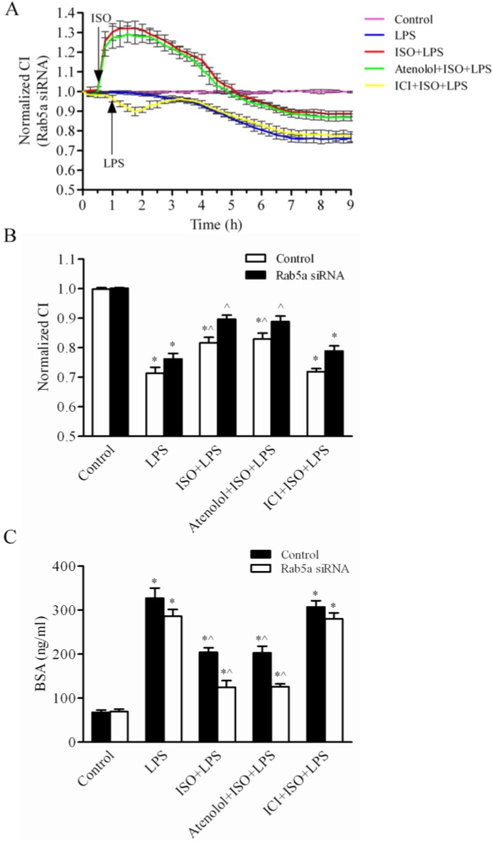 Fig 7