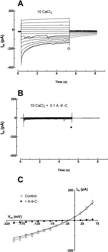 Figure 9.
