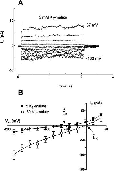 Figure 10.