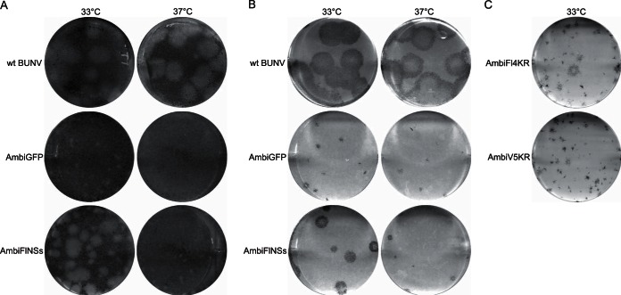 FIG 2