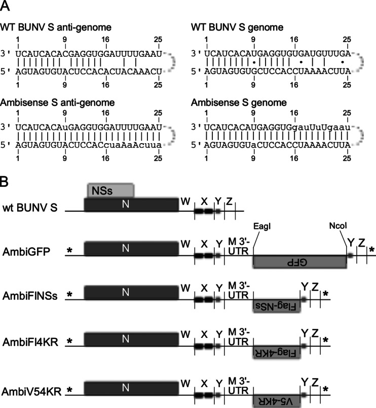 FIG 1