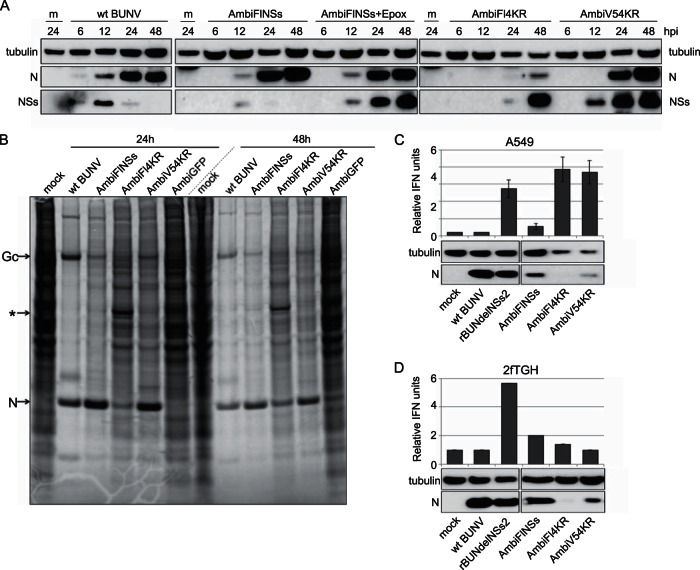 FIG 6