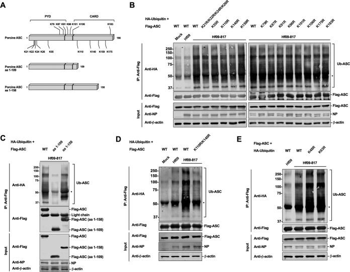 FIG 6