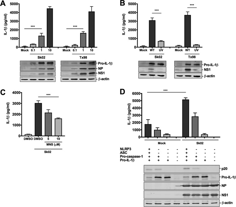 FIG 1